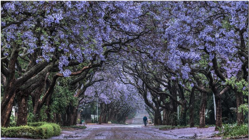 Pretoria 