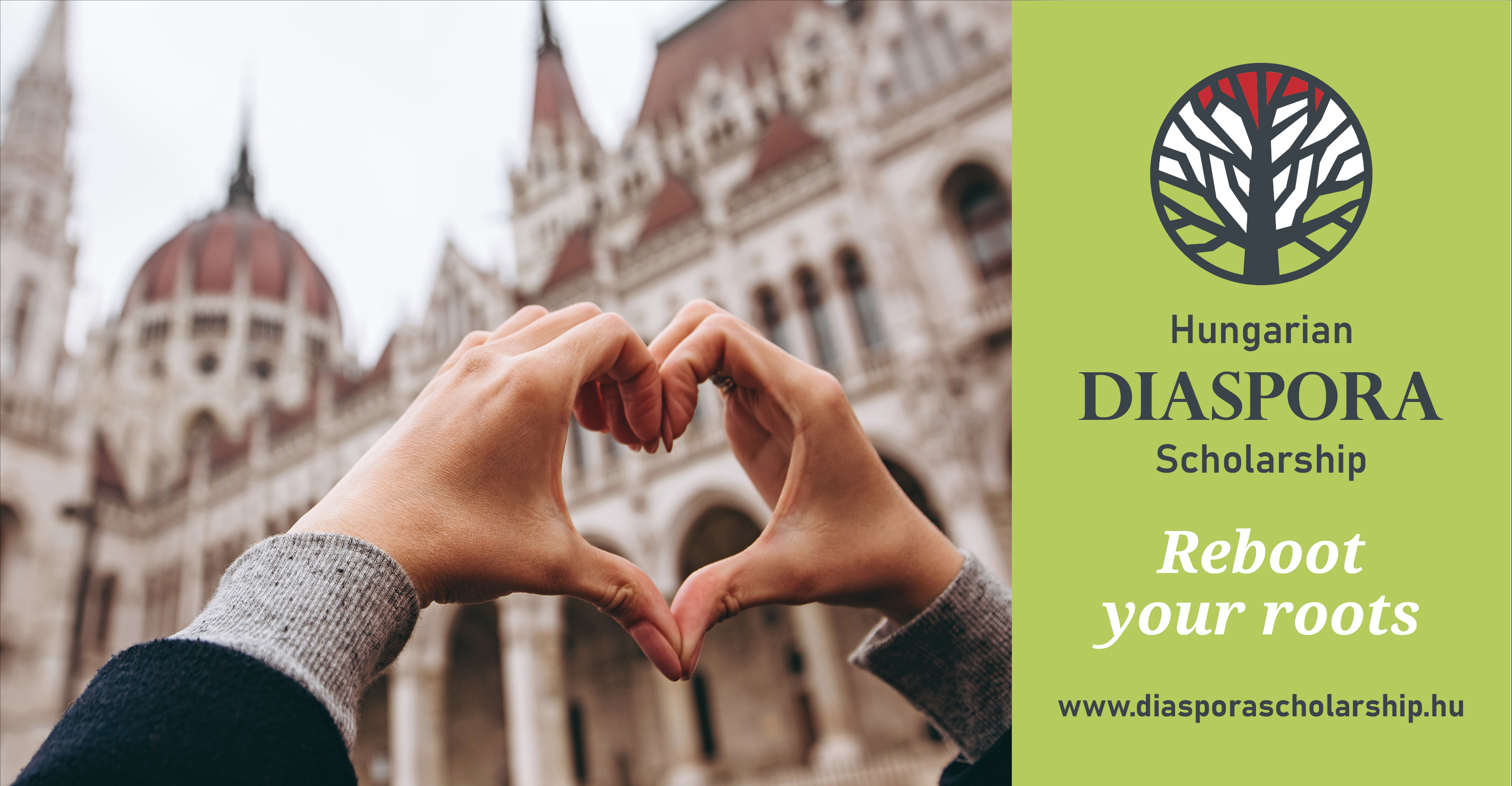 Diaspora Scholarship Programme